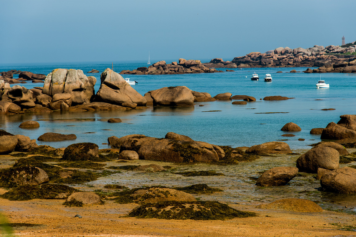 Trégastel. l'Île Renote.