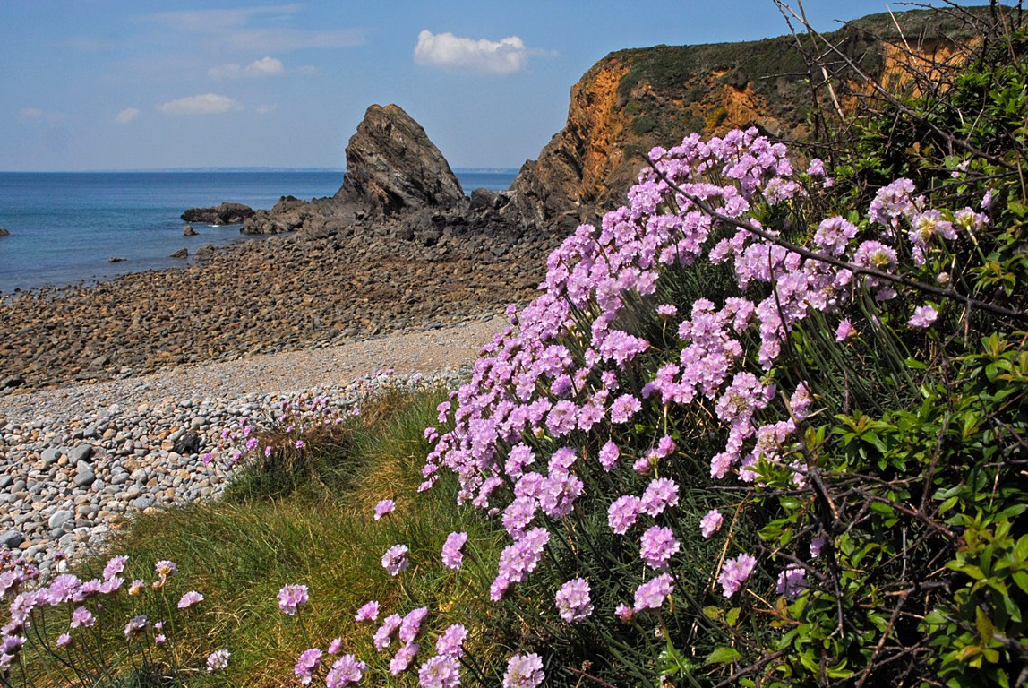 Camaret. Presqu'ile de Crozon