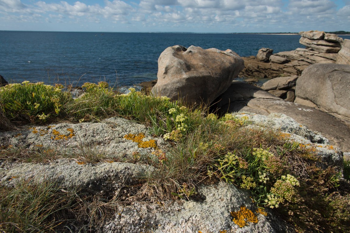 Pointe de Trévignon.