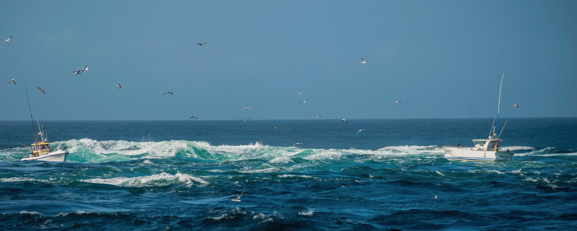 Pointe du Raz, le Raz de Sein.