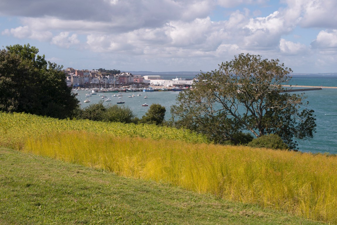 Douarnenez , vues depuis le sentier découverte de Plomarch. Plantation de lin et de chanvre.