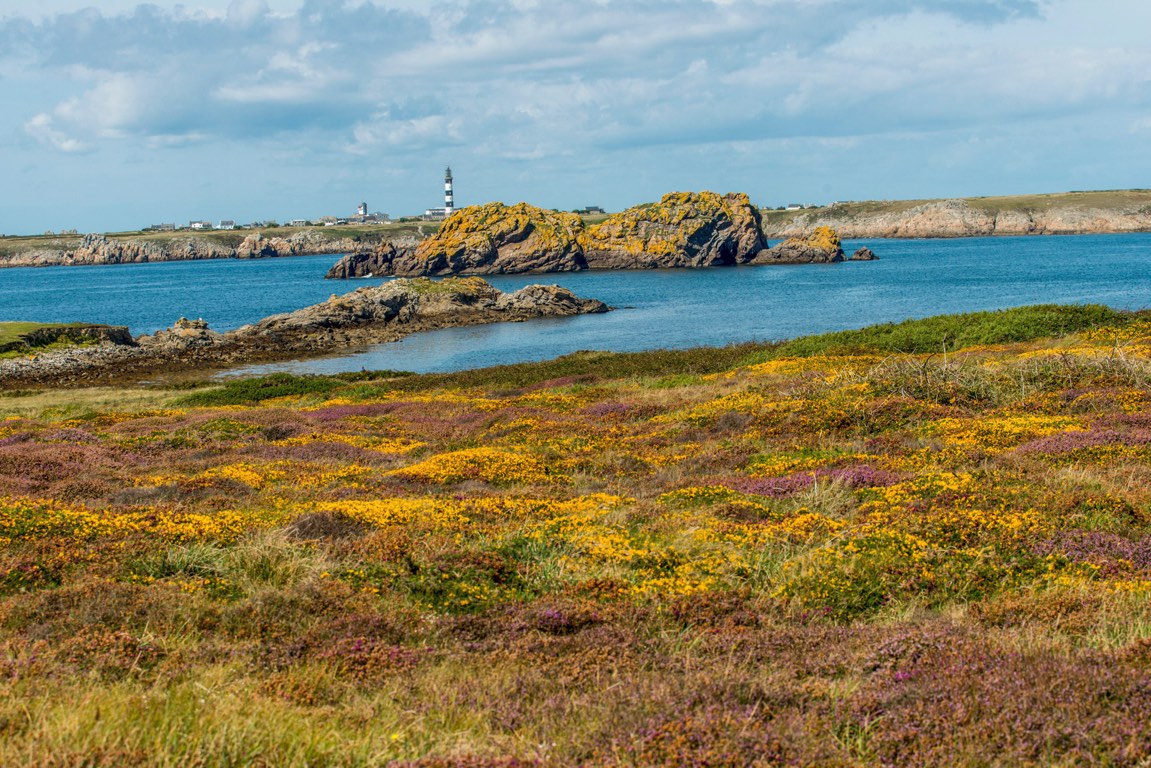 Île d'Ouessant.