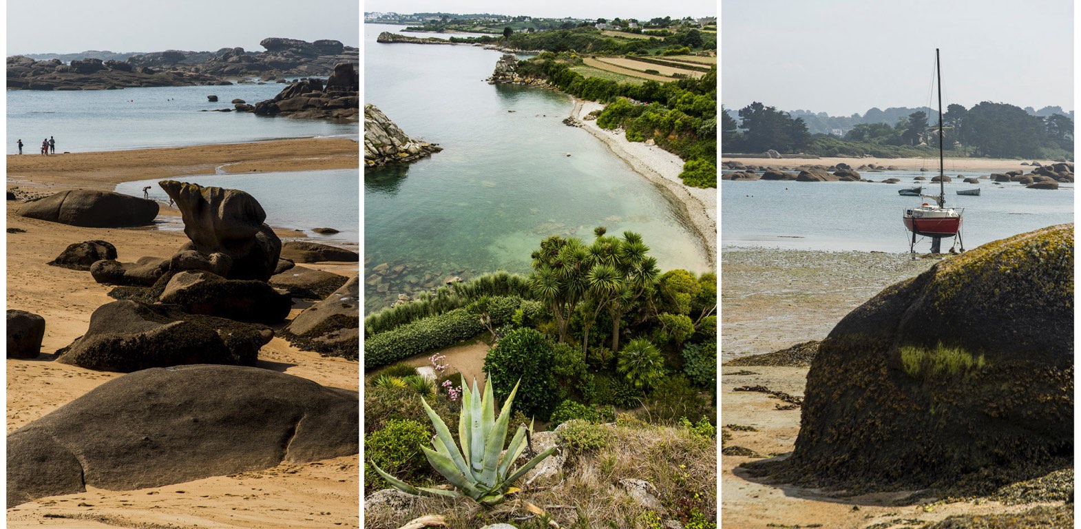 Roscoff, le Jardin exotique