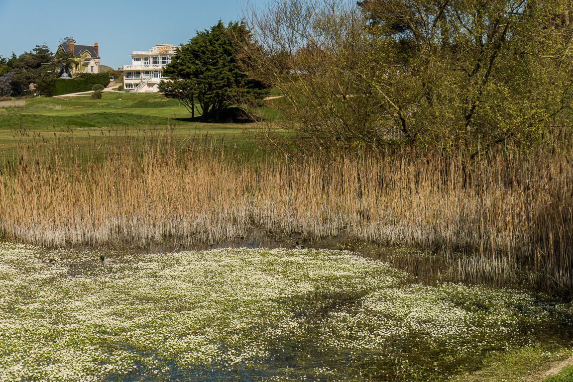 Saint-Briac, Golf de Dinard.