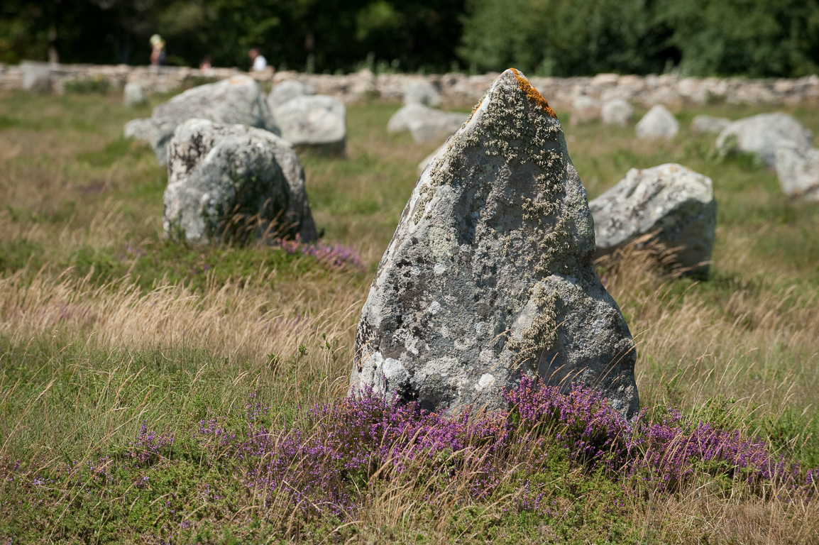 Carnac. Alignement de menhirs.