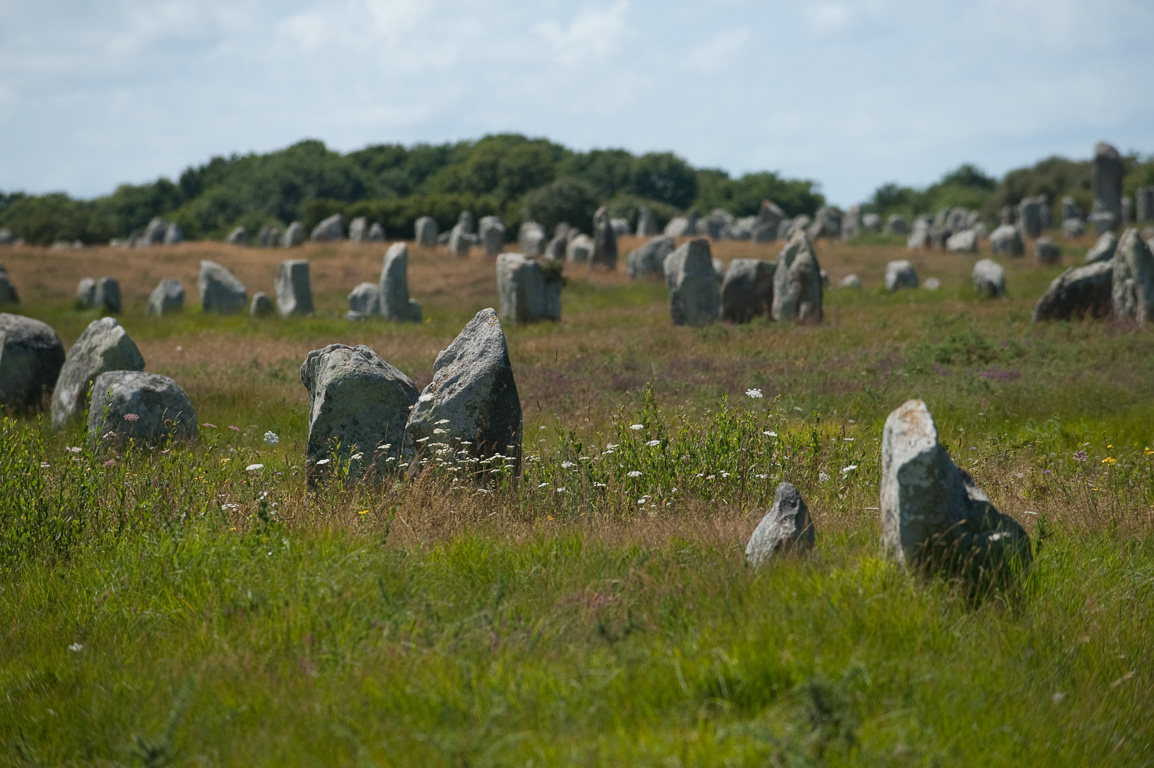 Carnac. Alignement de menhirs.