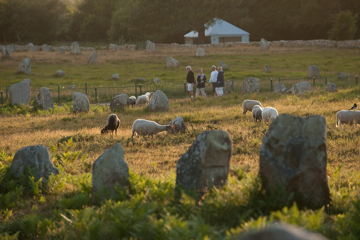 Carnac. Alignement de menhirs.