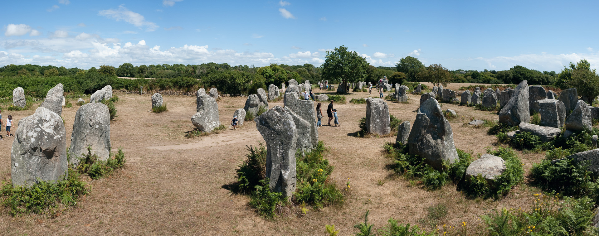 Carnac. Alignement de menhirs à Erdeven.