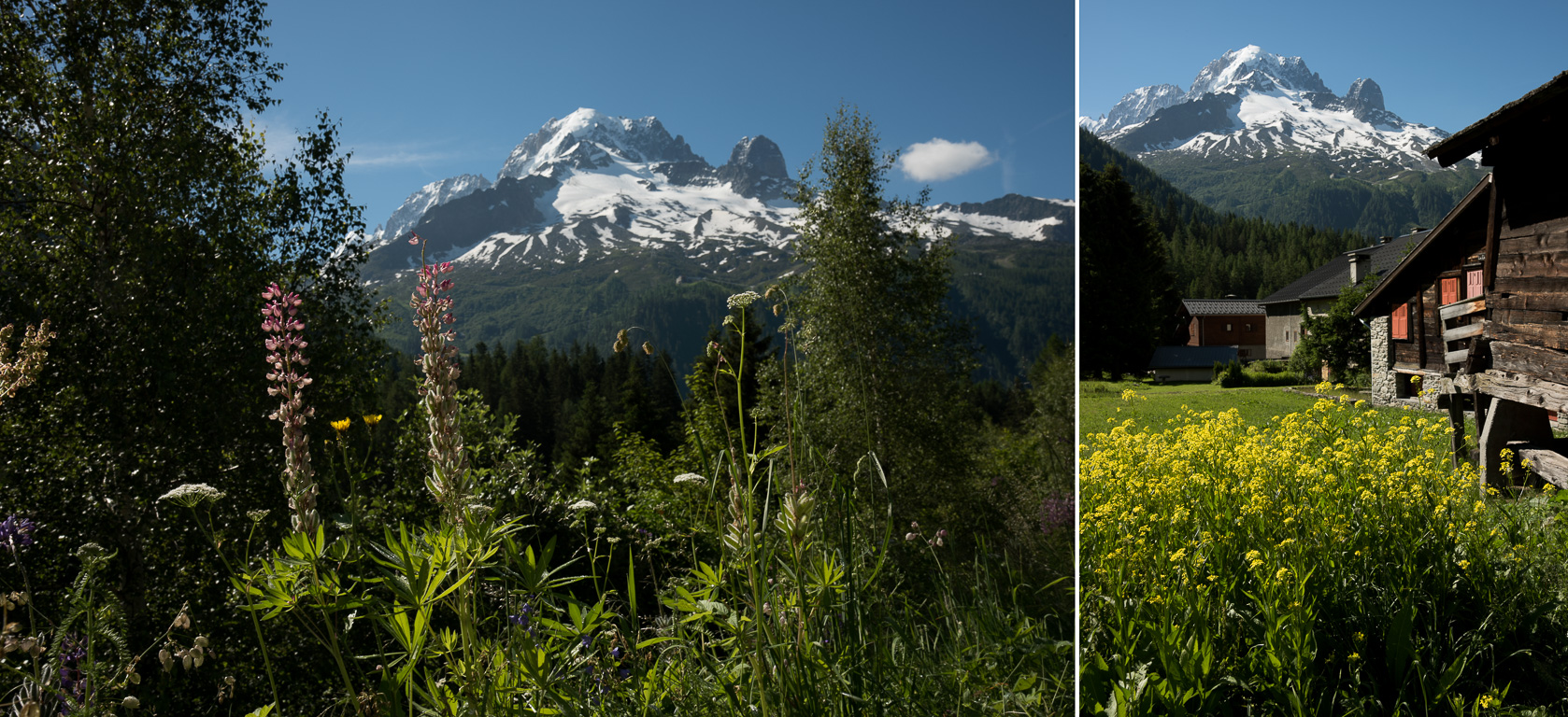 Montroc, vue sur le Mont-Blanc.