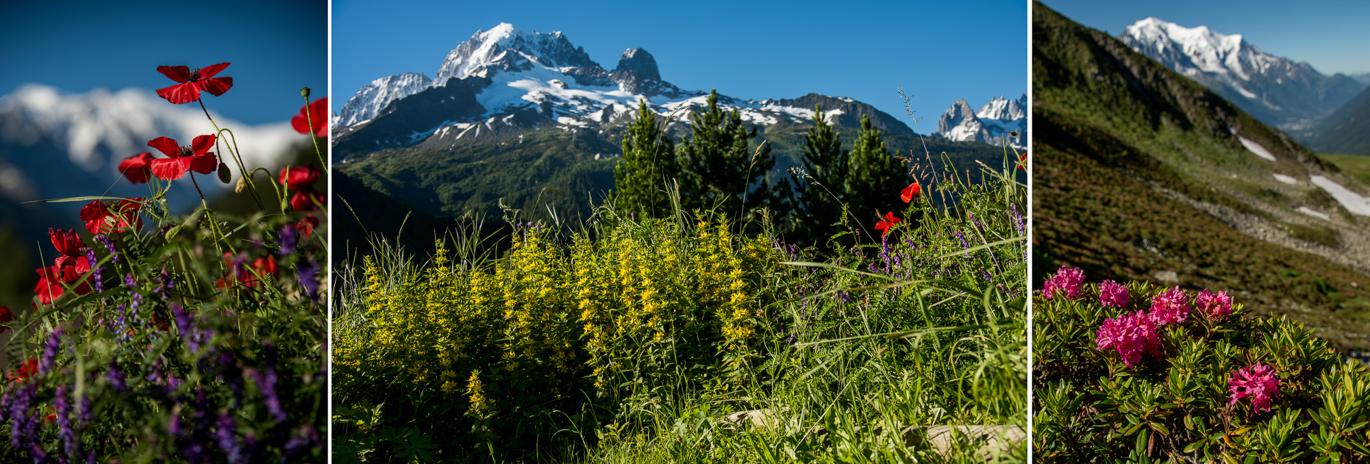 Montroc, vues sur le Massif d'Argentière et sur le Mont Blanc