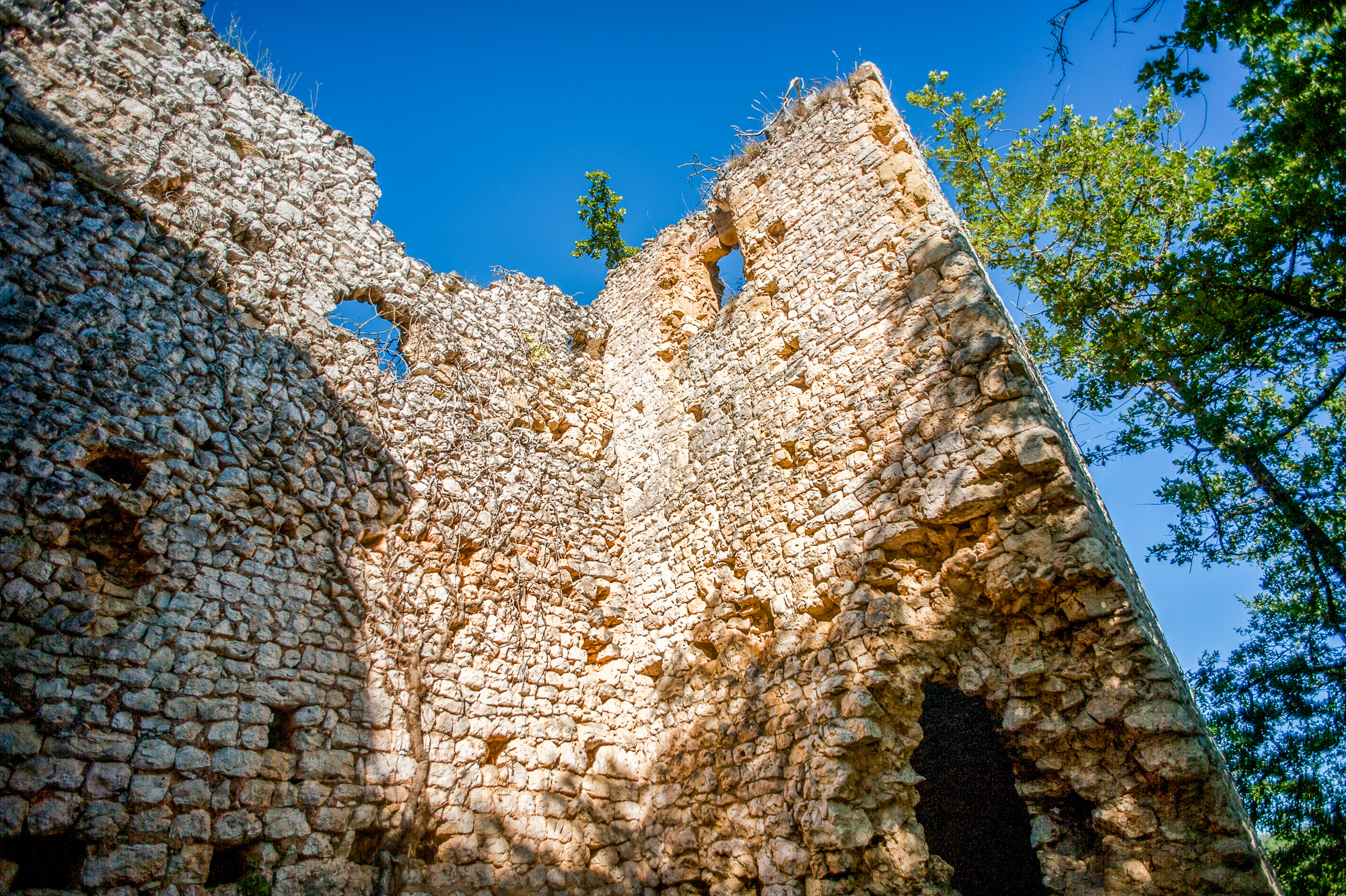 Ruines du château médiéval