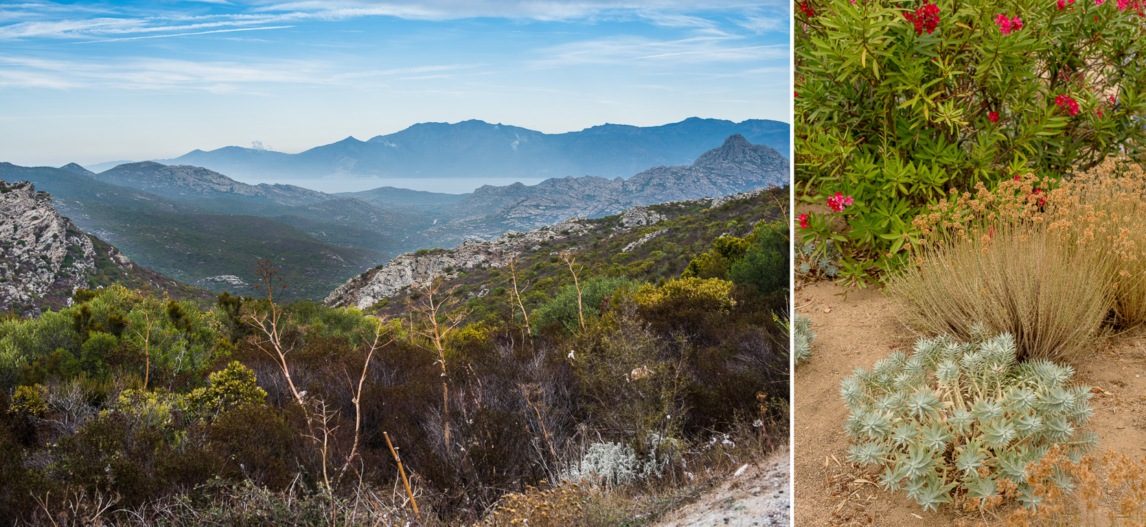 Désert des Agriates. La route désertique vers Saint Florent et  le Parc de Saleccia près de l'Île Rousse.