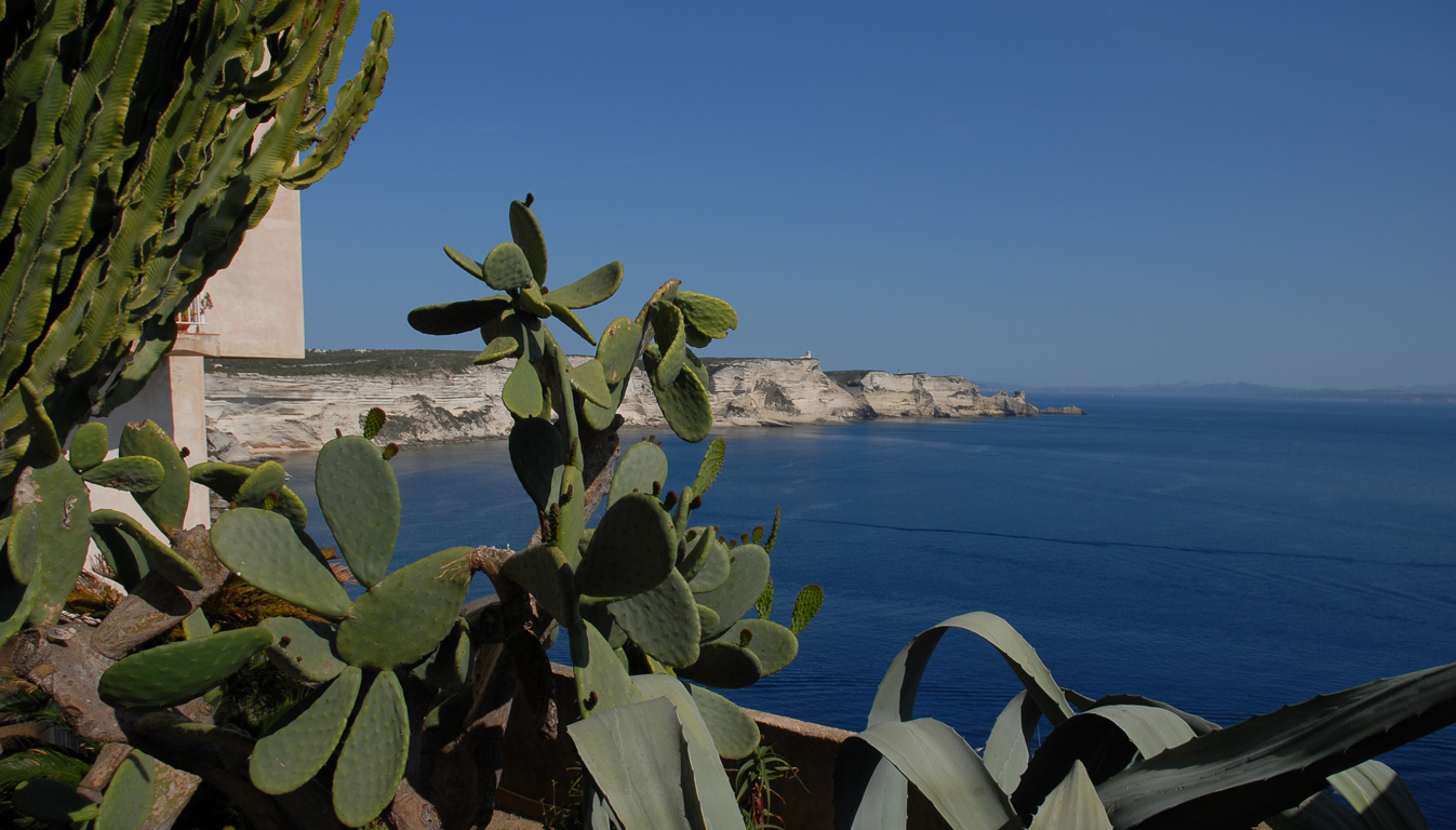 20169 Bonifacio,vue sur le Cap Pertusato