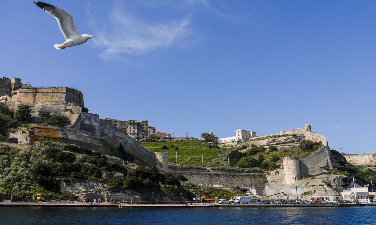 20169 Bonifacio, le port.