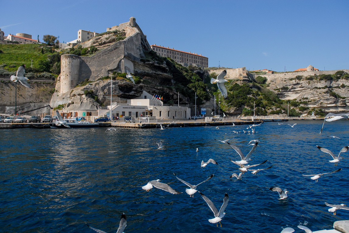 20169 Bonifacio, le port.