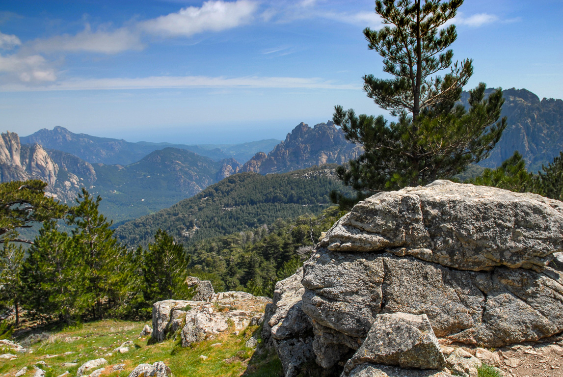 20124 Zonza, Alta Rocca. Aiguilles de Bavella.