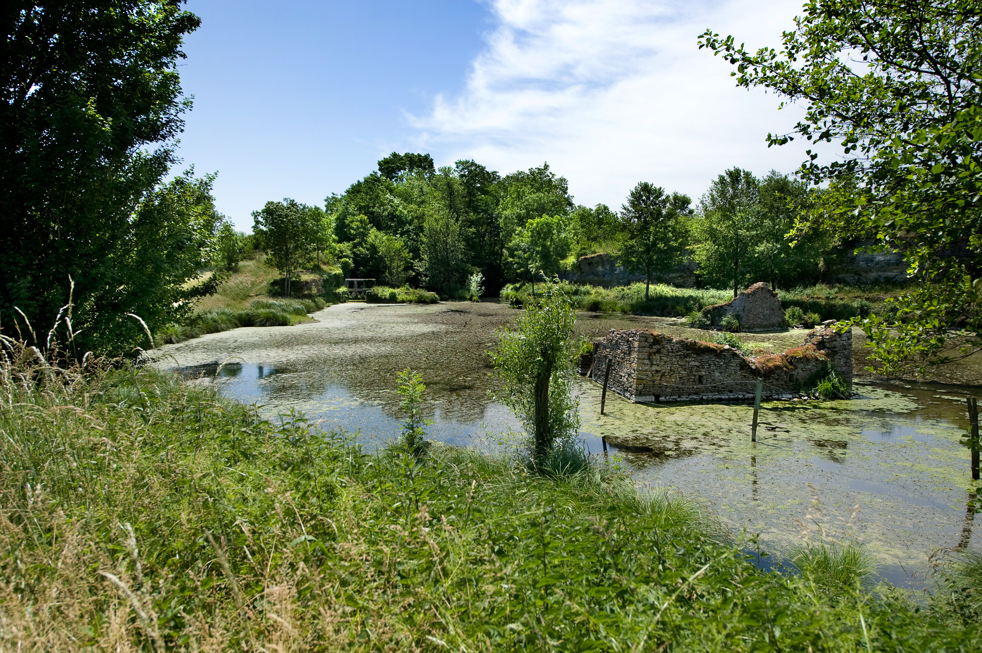 L'étang et l'écluse d'Optervoz. Ruines peintes par d'Aubigny et Gustave Courbet.