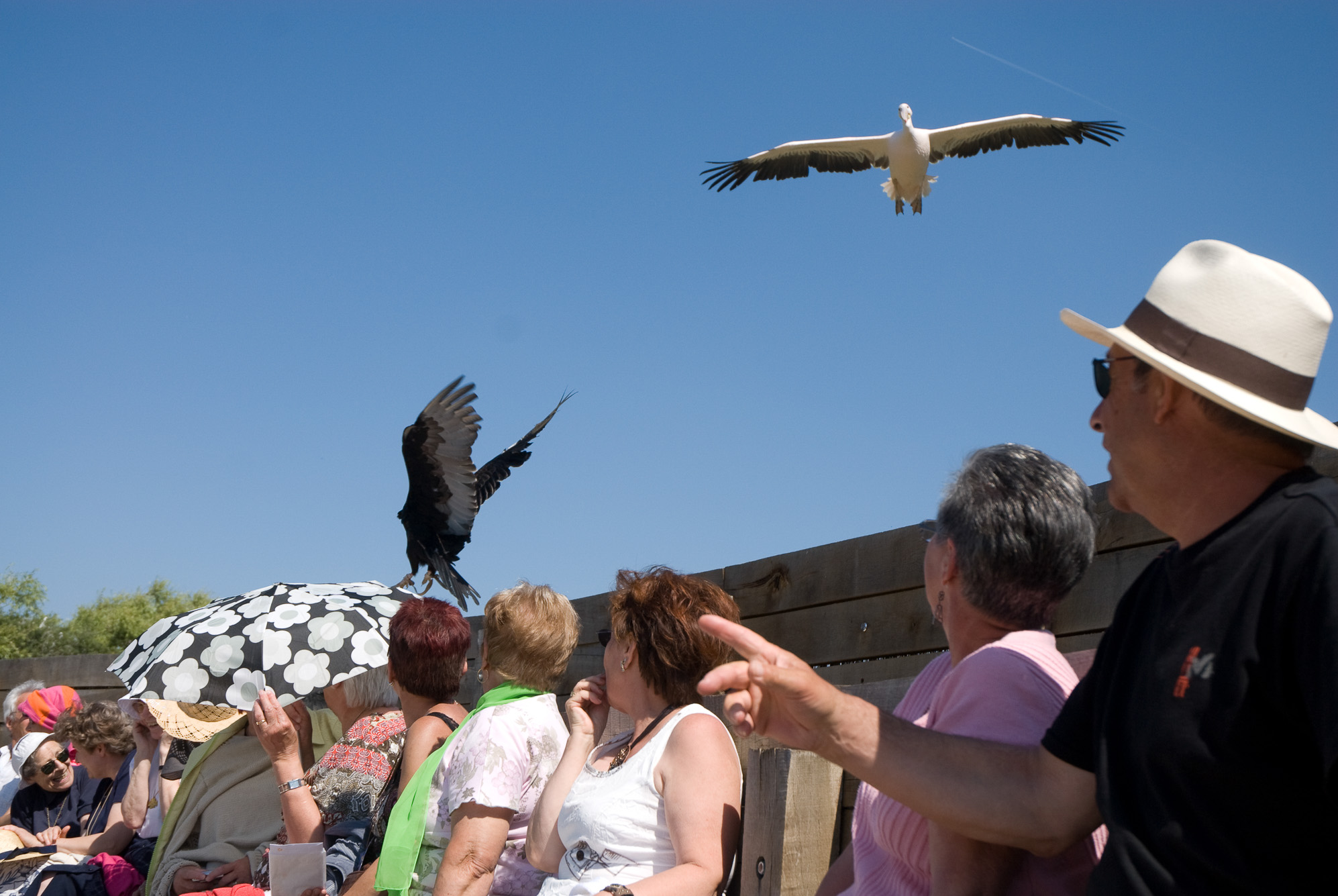 Villars-Les-Dombes. Le Parc des oiseaux.