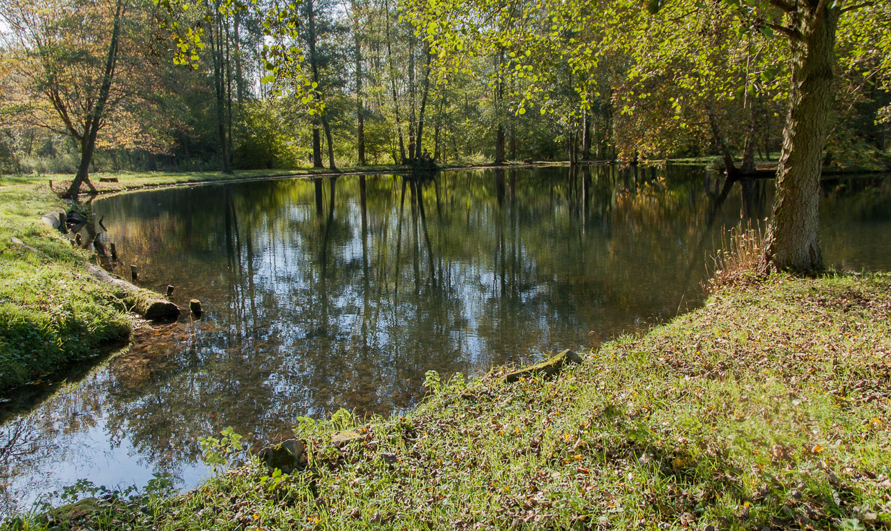 Parc jean-Jacques Rousseau, étang du Gouffre