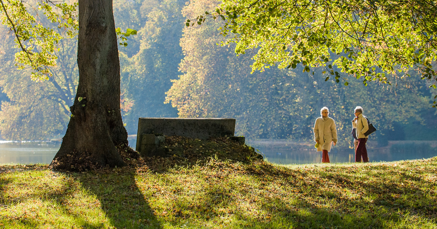 Parc jean-Jacques Rousseau, banc de la Reine.