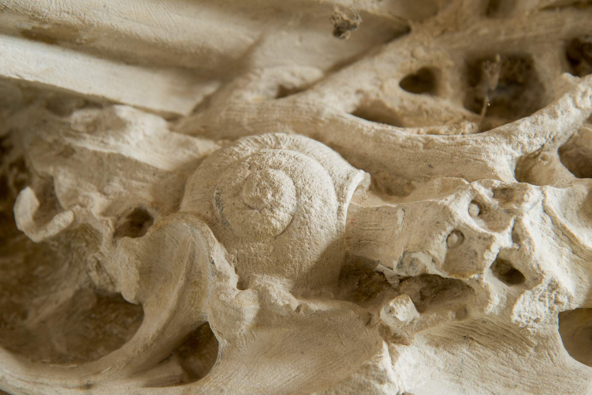Elément sculpté en forme d'escargot sur une base des arcs de  la Chapelle basse.