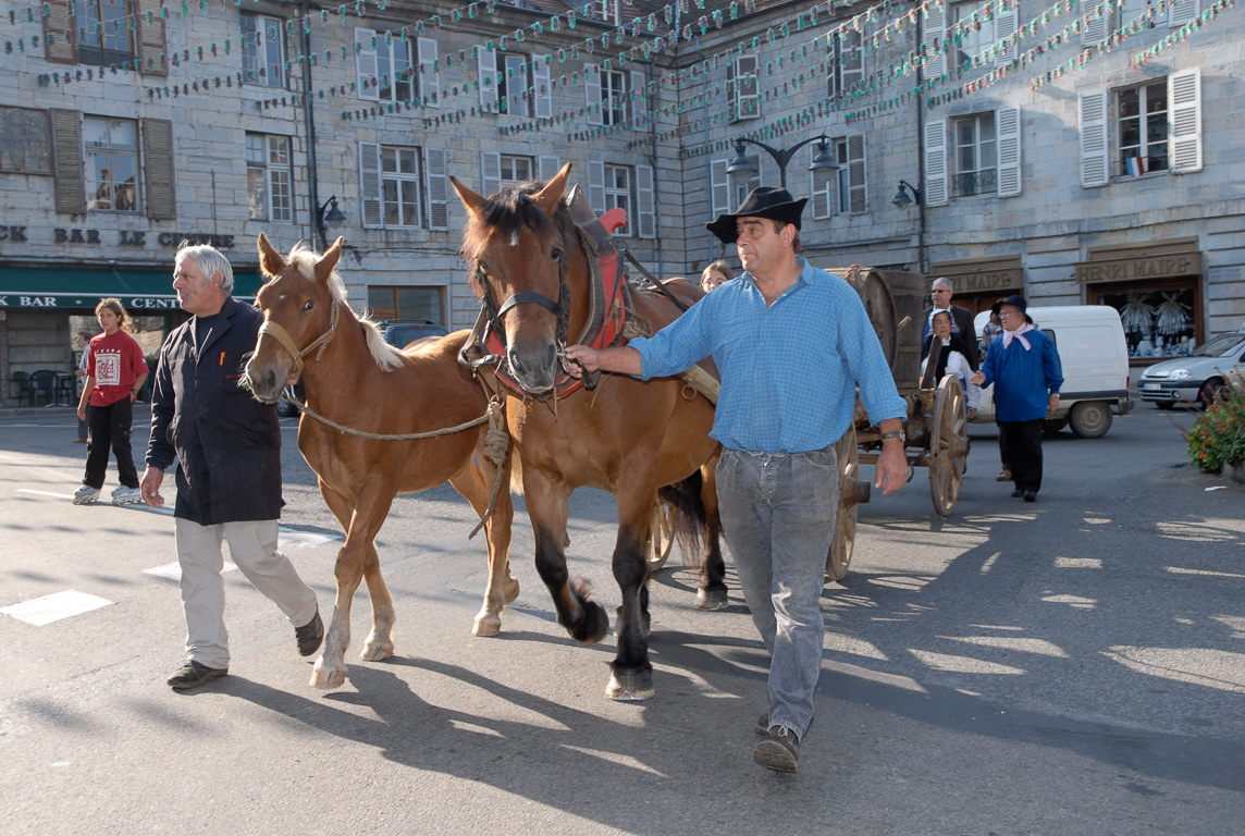 Fete des vendanges à l'ancienne journée du patrimoine