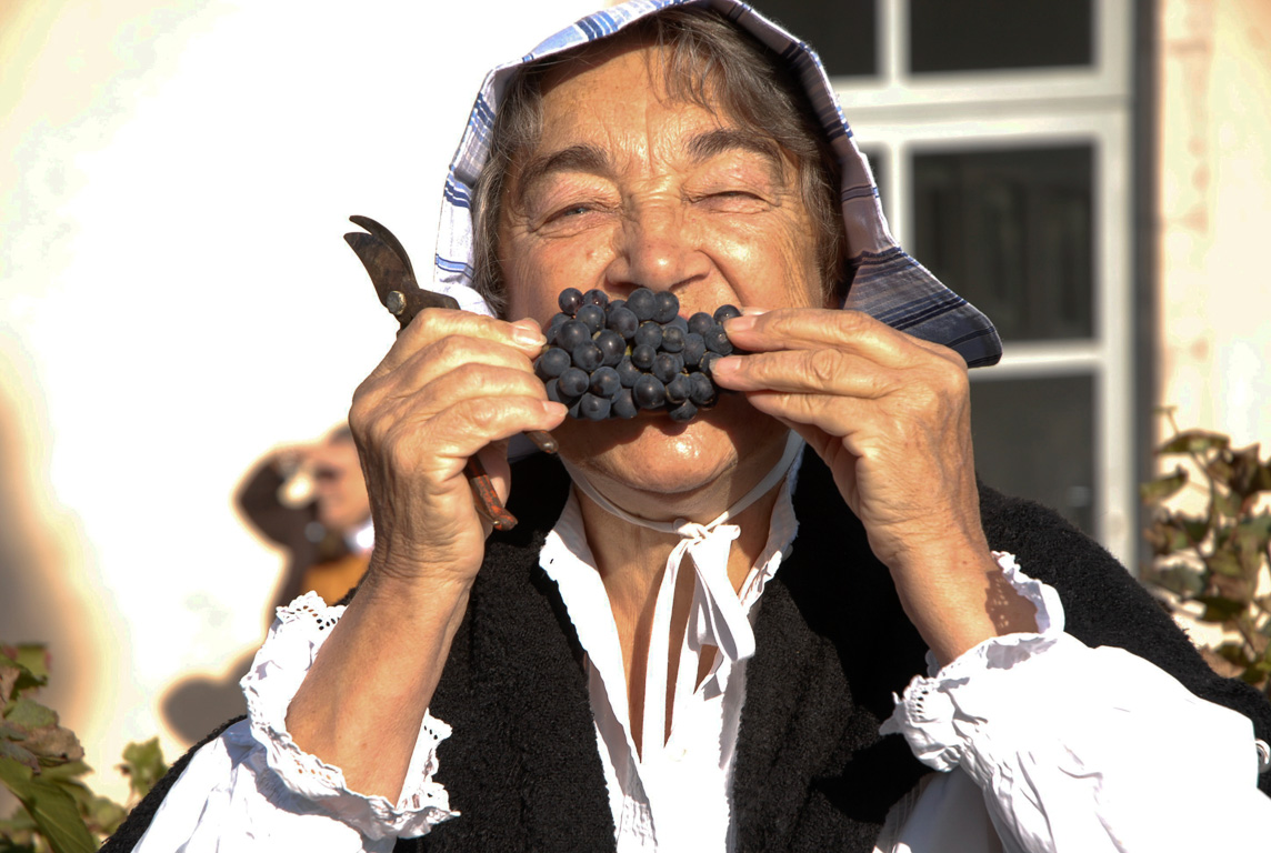 Fete des vendanges à l'ancienne journée du patrimoine