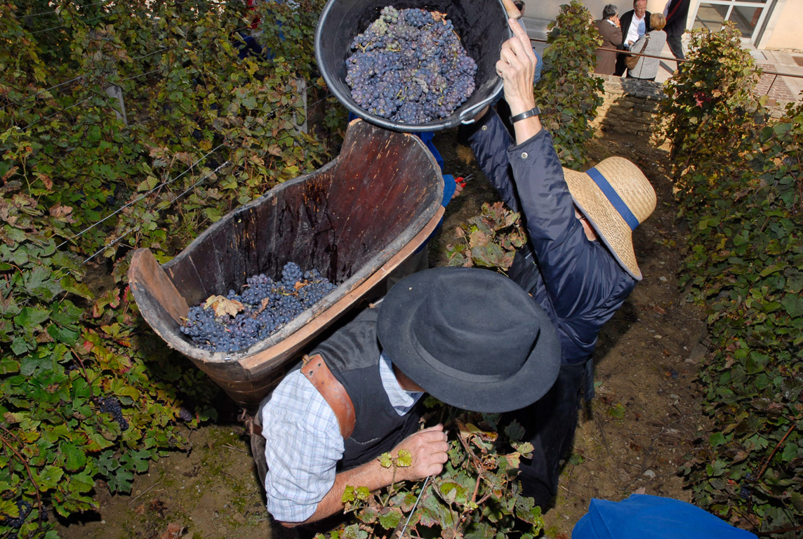 Fete des vendanges à l'ancienne journée du patrimoine