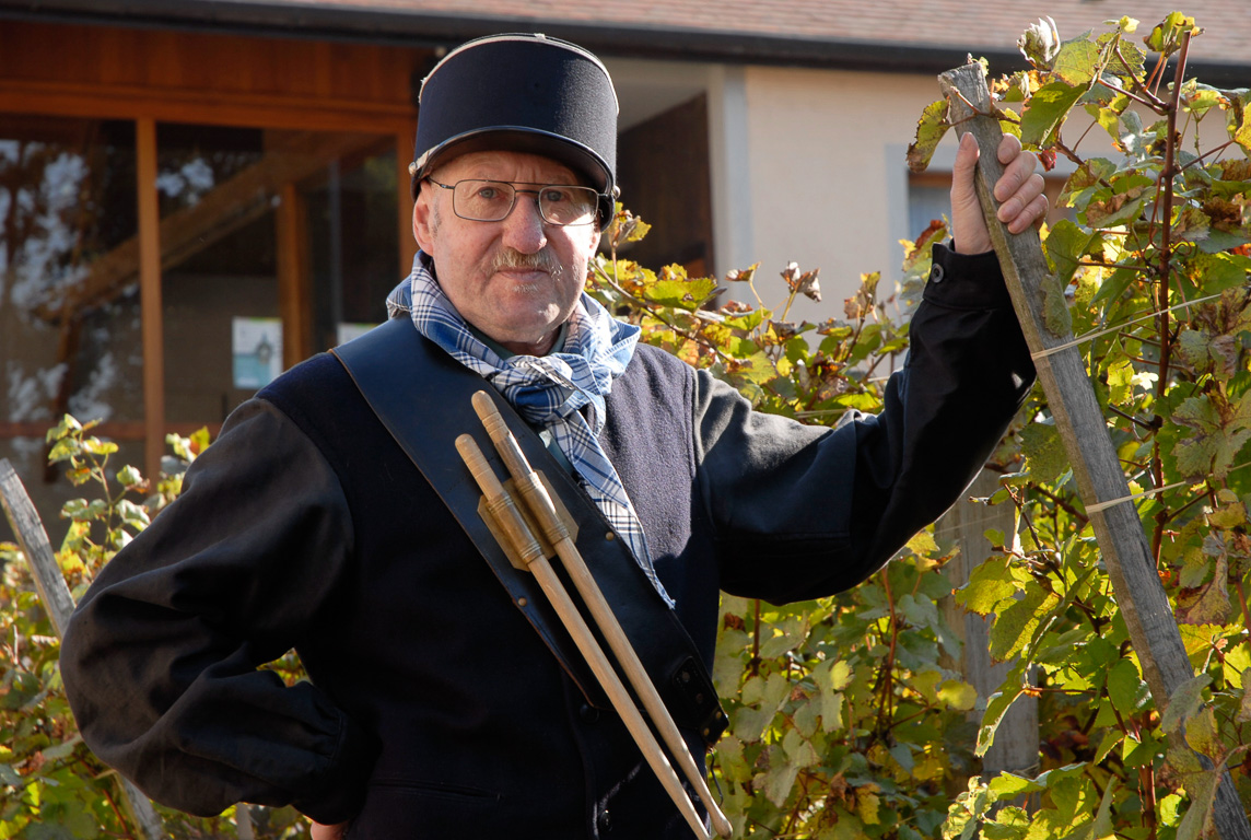 Fete des vendanges à l'ancienne journée du patrimoine