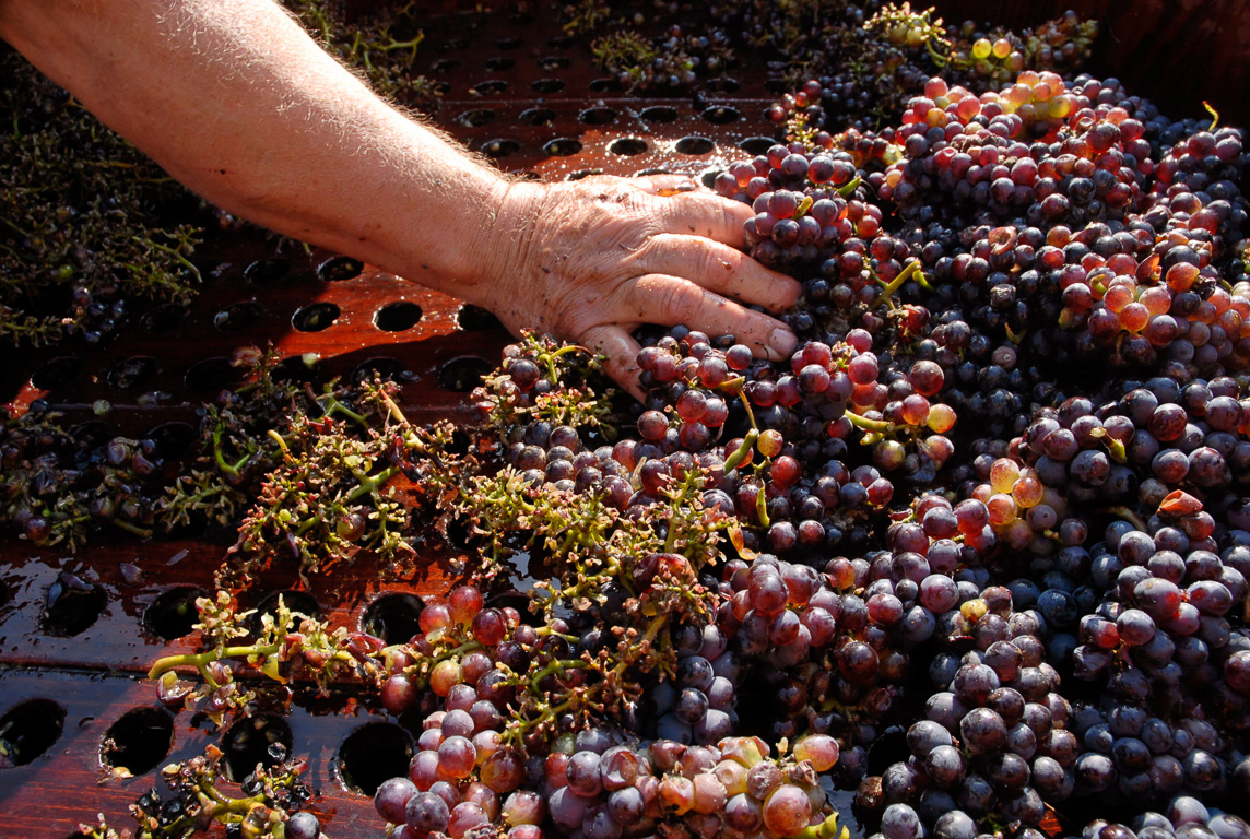 Fete des vendanges à l'ancienne journée du patrimoine