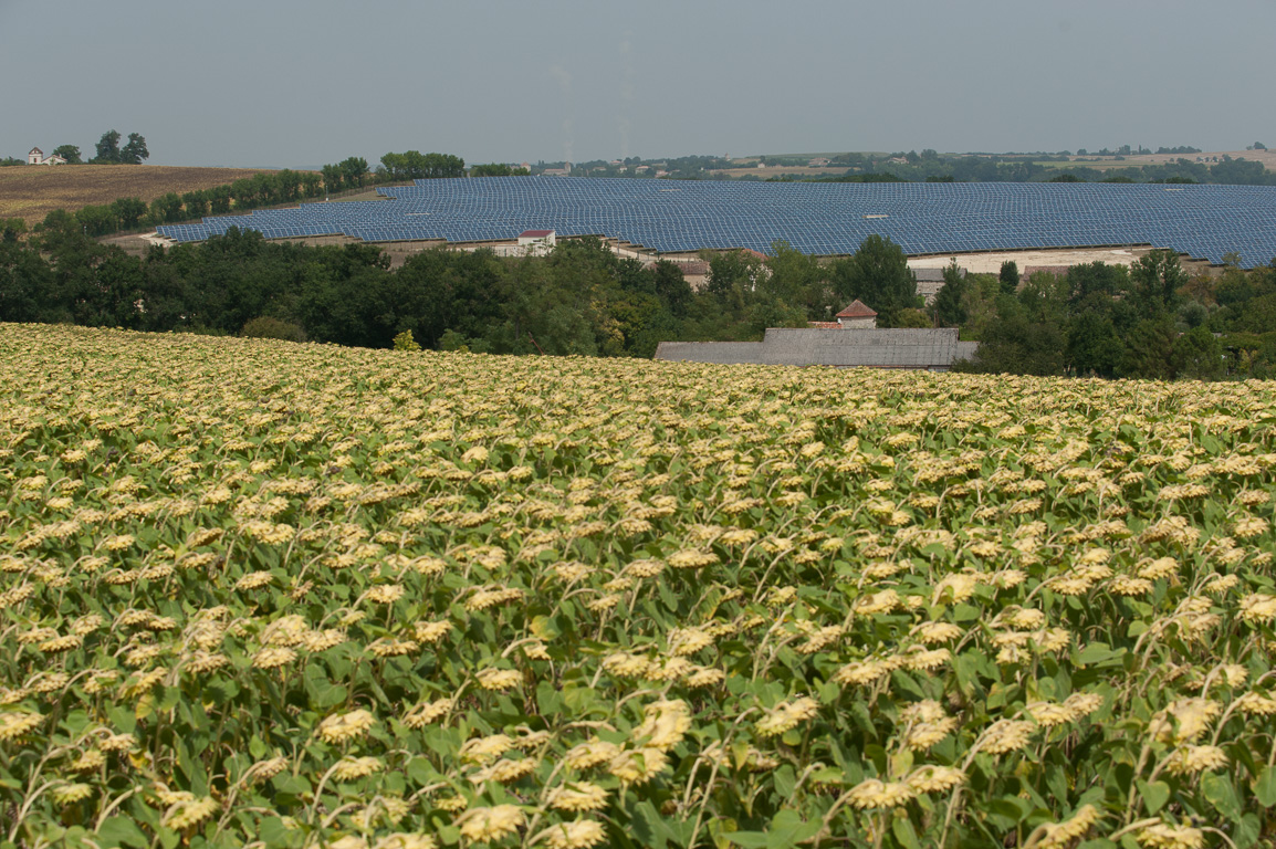 Champ de 20 hectares dédié à l'énergie solaire.