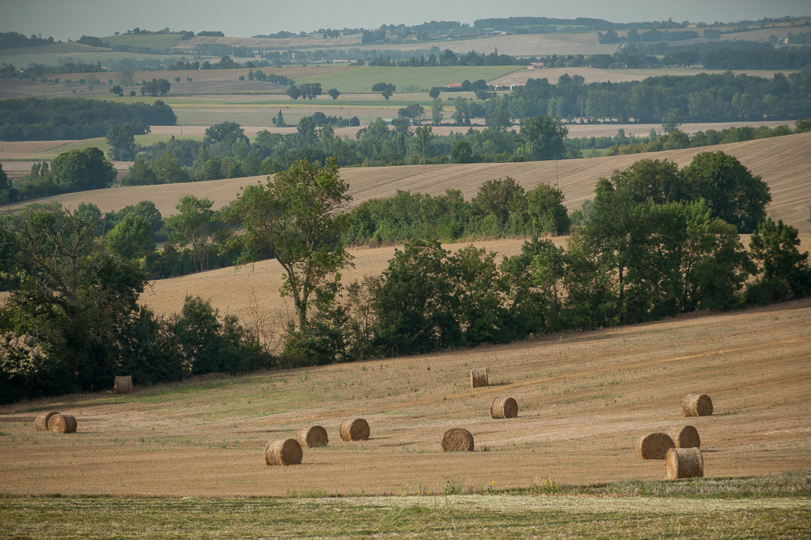 Paysages de Lomagne.