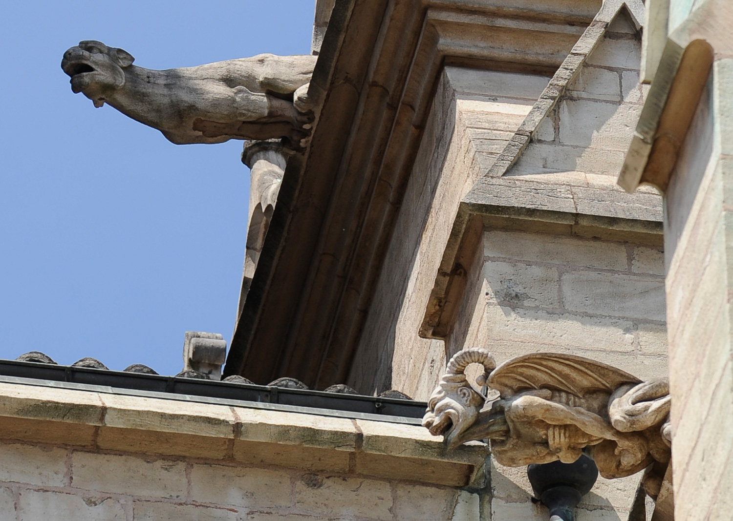 Église Saint-Georges. La gargouille masturbateuse