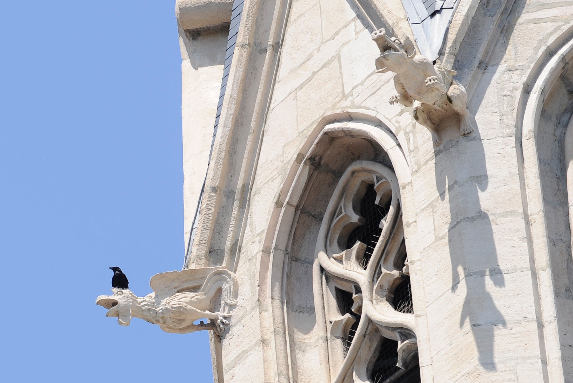 Église Saint-Georges. Les gargouilles