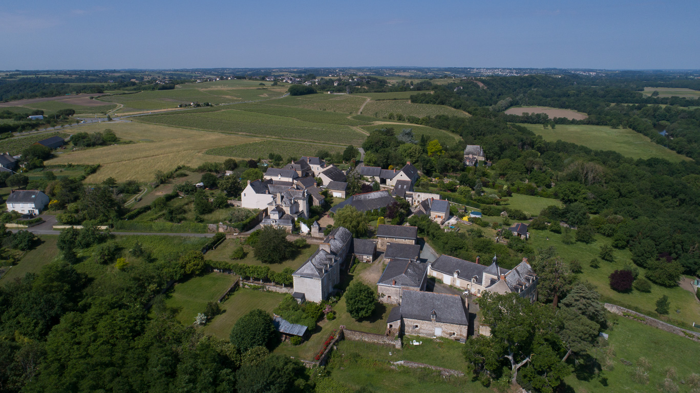 Saint-Aubin-de-Luigné, paysage de la Corniche angevine.