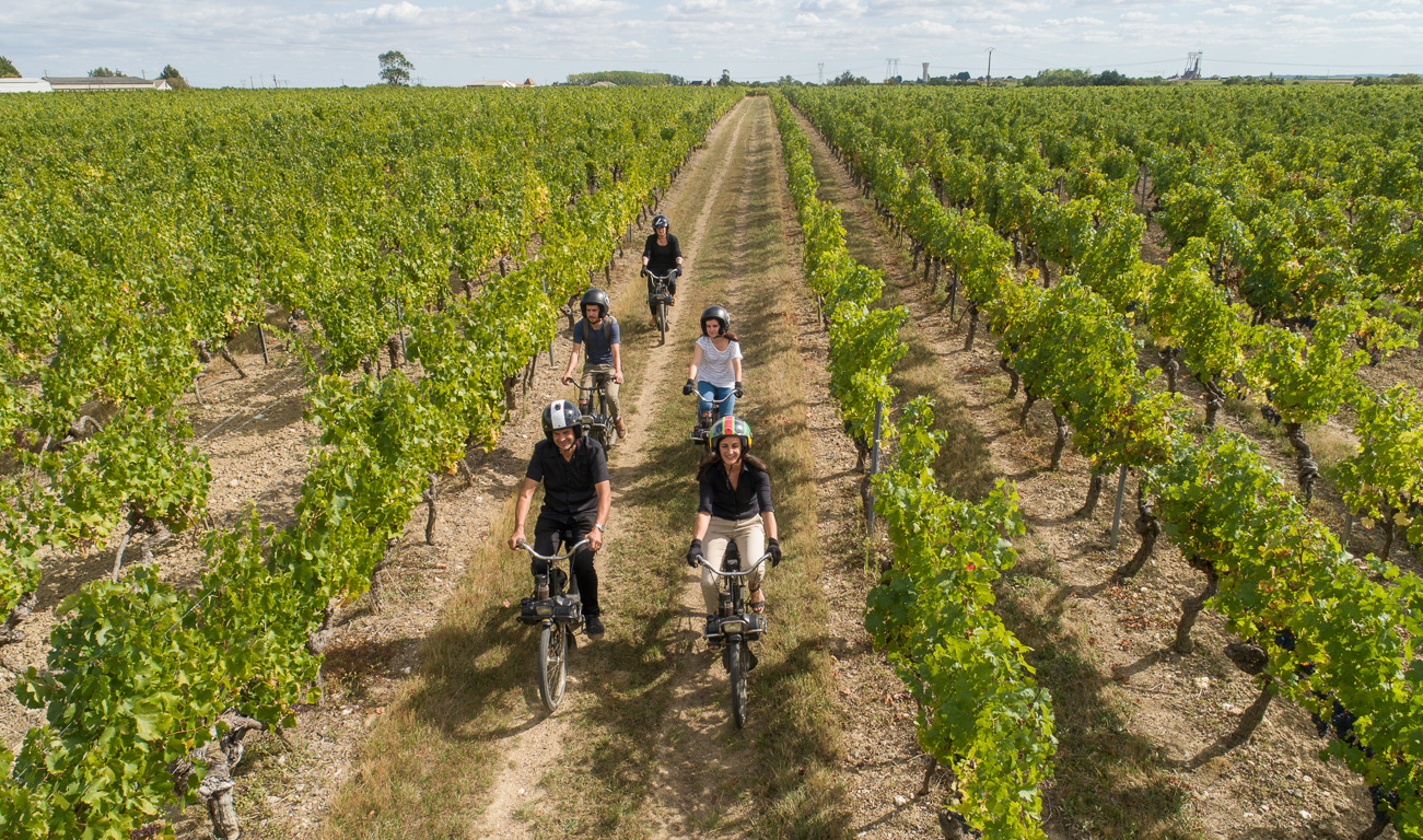 Martigné-Briand., domaine de Pied Flond, Wine & Solex,  avec Catherine et Franck Gourdon.