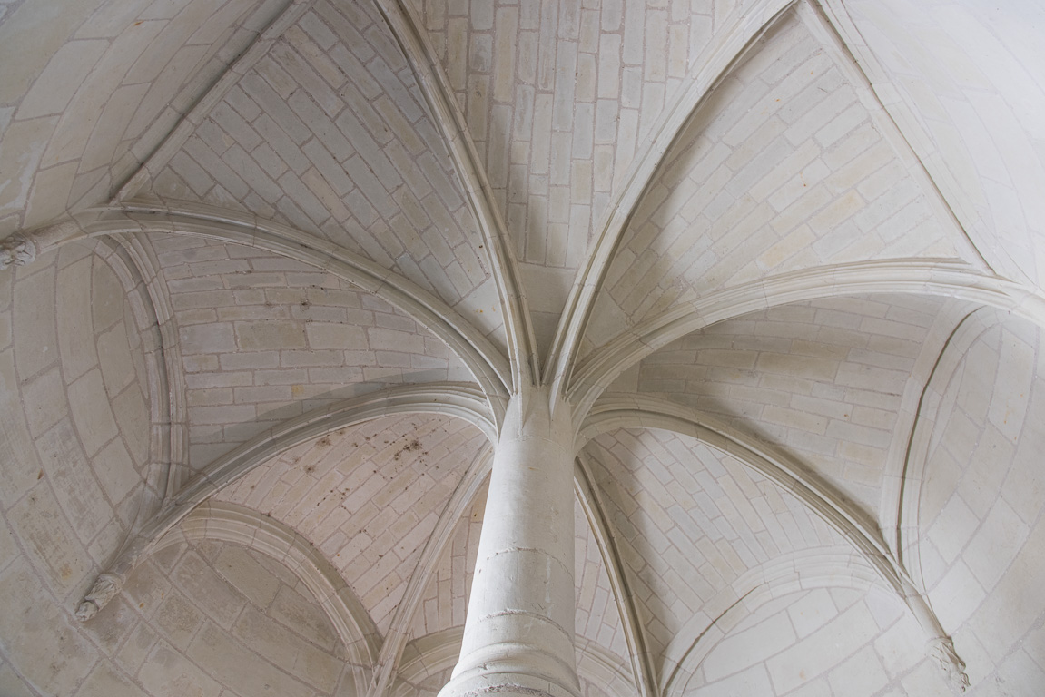 Montsoreau, le château.  Musée d’art contemporain ; voute en palmier, détail.