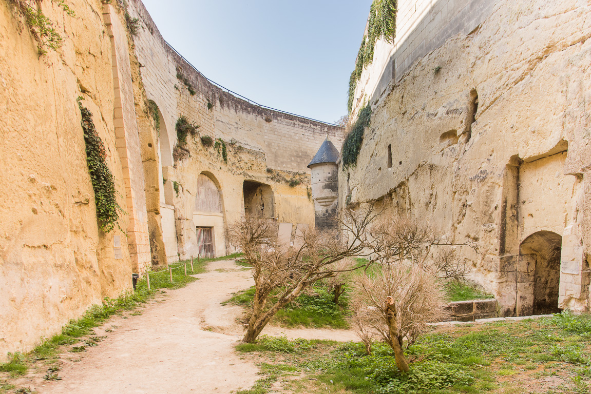 Brézé, le château. Les duves sêches.