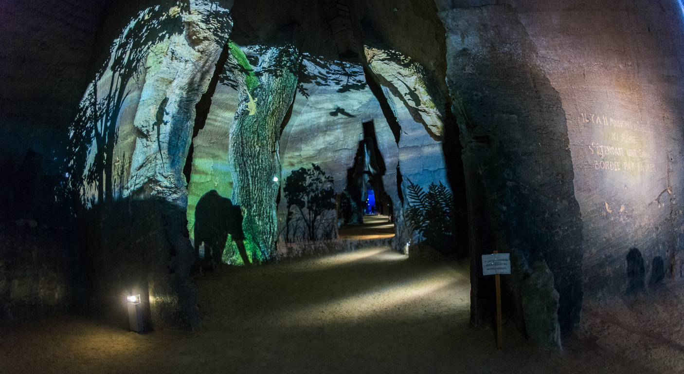 Doué en Anjou. . Site des Perrières, Le mystère des faluns. Flore du miocène.