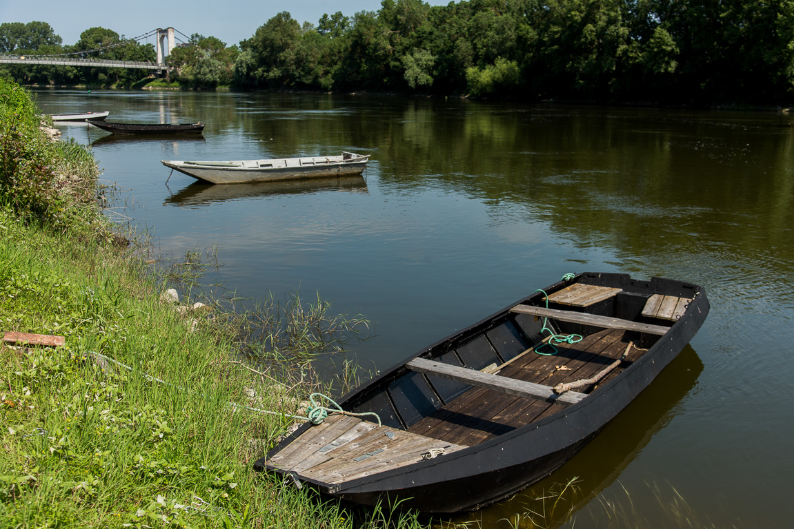 Chalonne-sur-Loire. Barques traditionnelles sur la Loire.