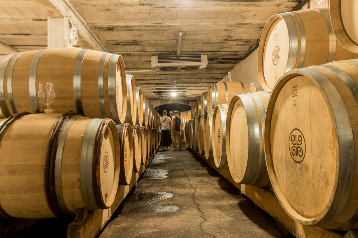 Saint-Lambert-du-Lattay. Domaine Belargus (Côteaux-du-Layon). Tonneaux den chêne dans la cave.