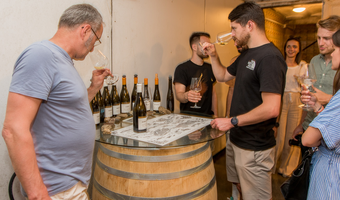 Saint-Lambert-du-Lattay. Domaine Belargus (Côteaux-du-Layon). Dégustations dans la cave.