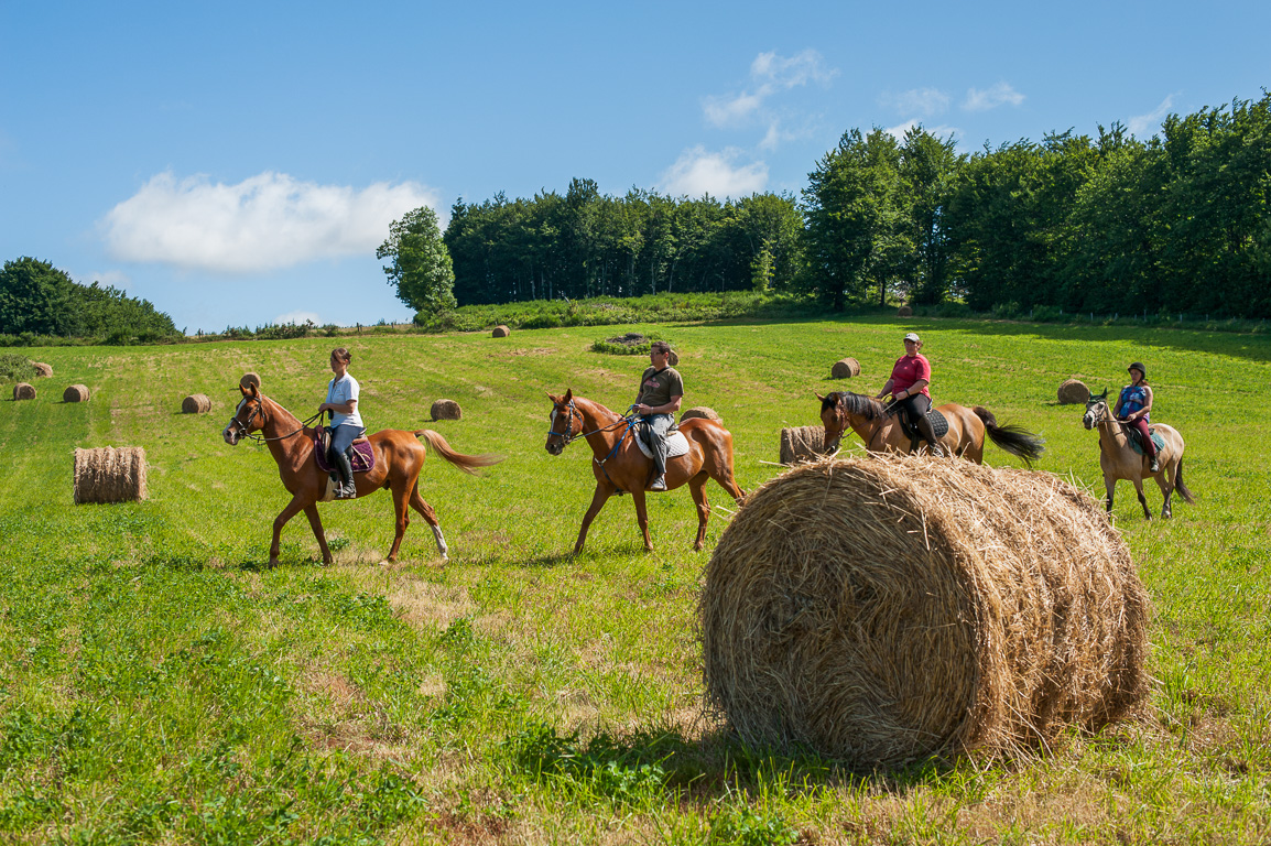 Les chevaux du Soleil. Balades avec Héléna Vilar.