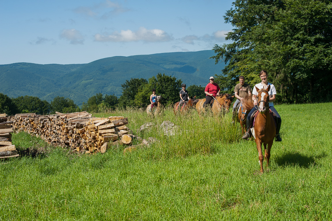 Les chevaux du Soleil. Balades avec Héléna Vilar.