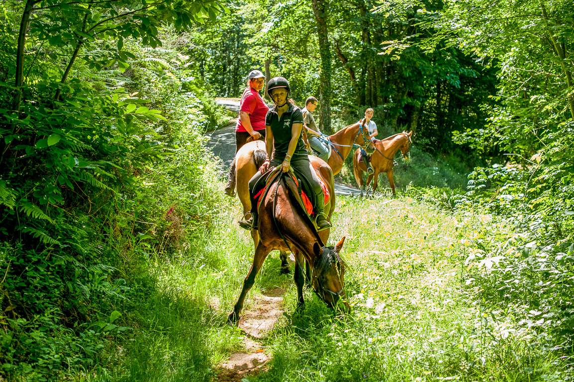 Les chevaux du Soleil. Balades avec Héléna Vilar.