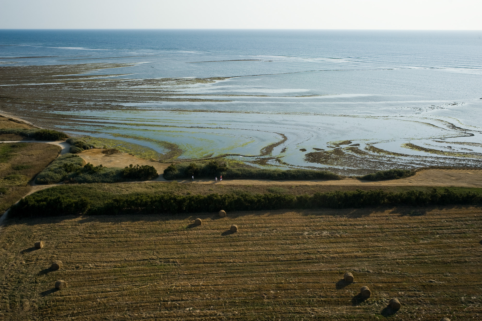 Vue du haut du phare de Chassiron