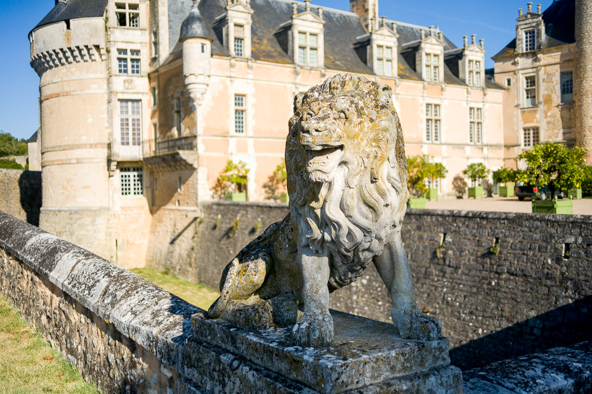 86300 Bonnes. Le château de Touffou