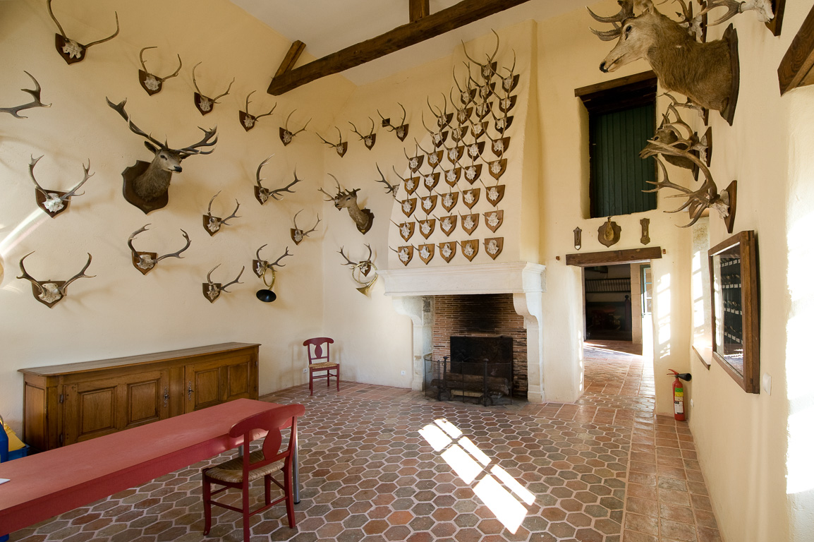 86300 Bonnes. Le château de Touffou. Salle des trophées.