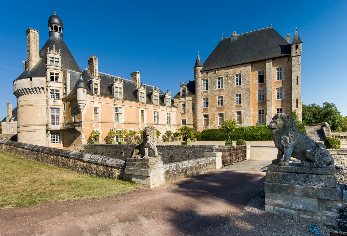 86300 Bonnes. Le château de Touffou.