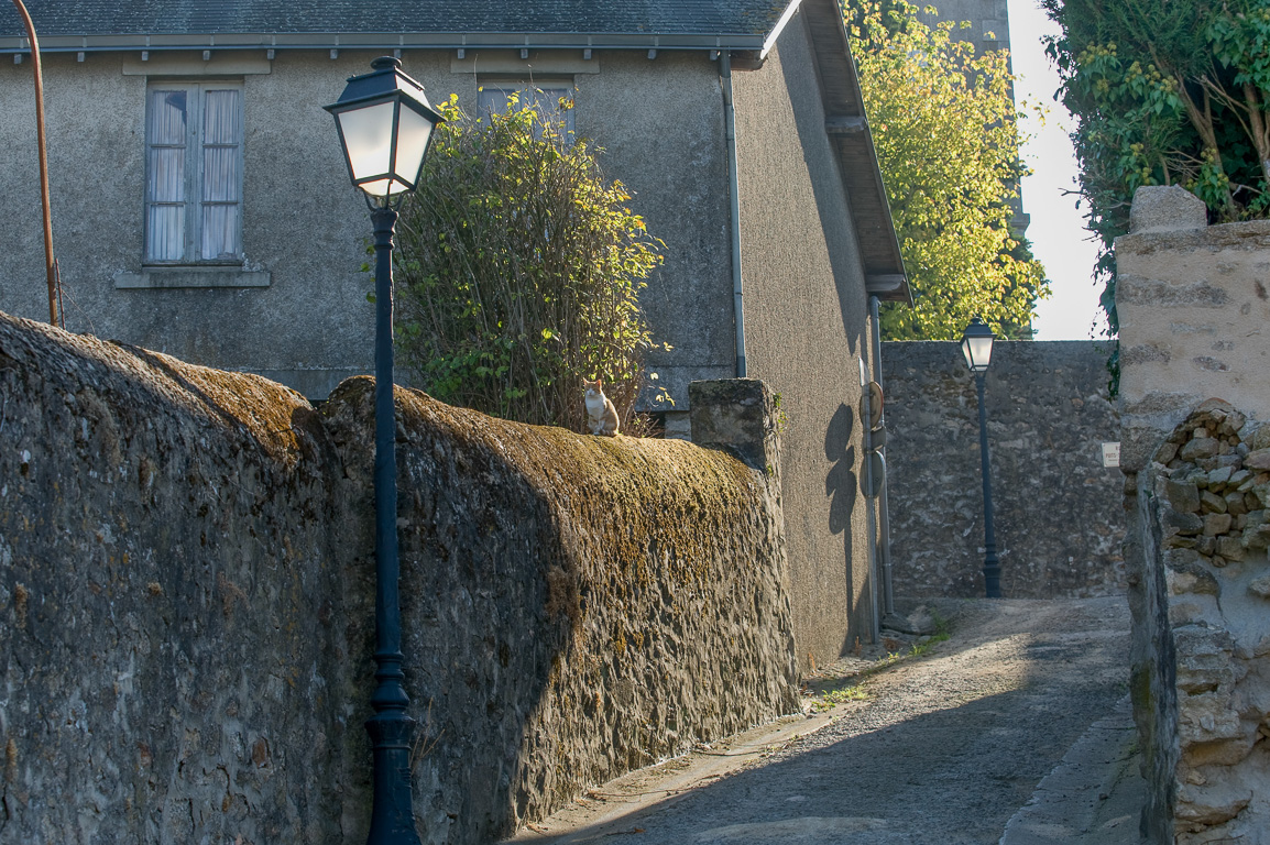 Rue Férolle.